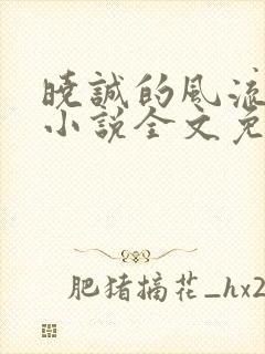 晓诚的风流人生小说全文免费阅读最