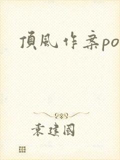 顶风作案po封面