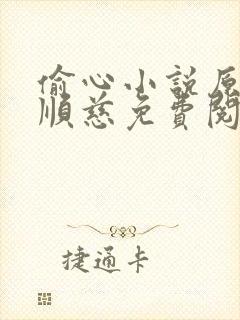 偷心小说原著李顺慈免费阅读