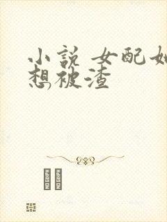 小说 女配她只想被渣封面