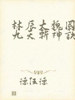 林辰大魏国小说九天斩神诀