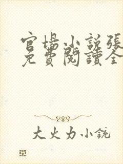 官场小说张卫东免费阅读全文