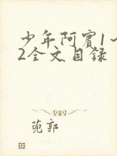 少年阿宾1～72全文目录