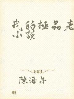 我的极品老婆 小说