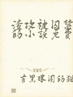 渣攻被囚禁反攻的小说免费阅读