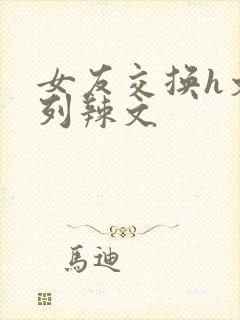 女友交换h文系列辣文封面