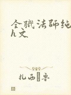 全职法师纯肉高h文