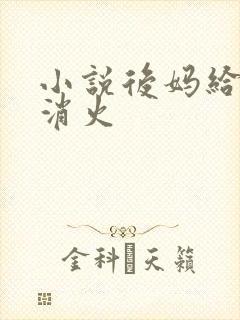 小说后妈给我消消火