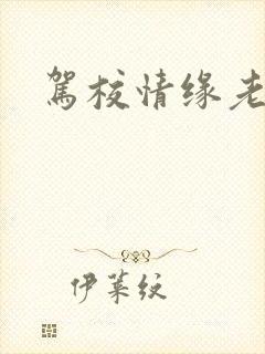 驾校情缘老赵
