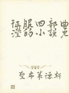 征服四部曲陈玉滢的小说免费阅读封面