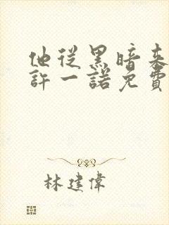 他从黑暗来小说许一诺免费阅读封面