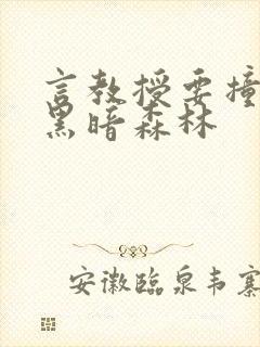 言教授要撞坏了黑暗森林封面