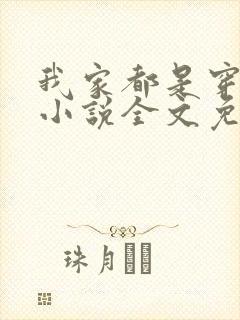 我家都是穿来的小说全文免费阅读