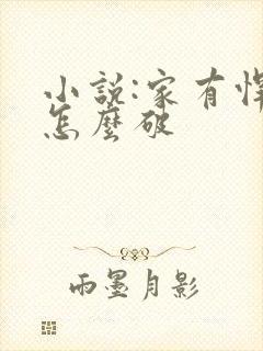 小说:家有悍妻怎么破