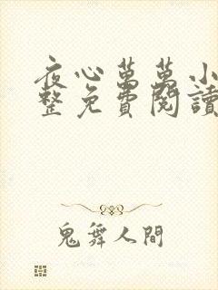 夜心万万小说完整免费阅读全文