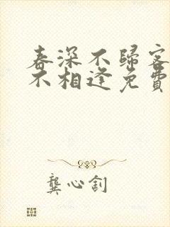春深不归客清梦不相逢免费全文阅读
