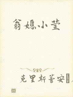 翁媳小莹封面