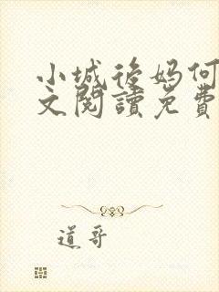 小城后妈何姨全文阅读免费阅读