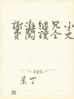 谢澈继兄小说免费阅读全文封面