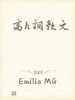 高h调教文封面
