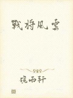 战将风云封面
