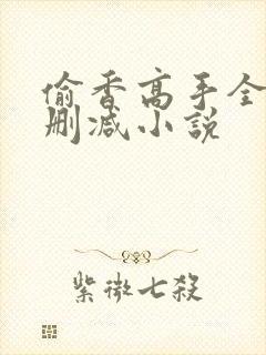 偷香高手全文无删减小说