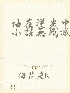 他在逆光中告白小说无删减封面