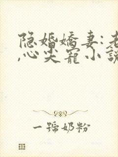 隐婚娇妻:老公,心尖宠小说