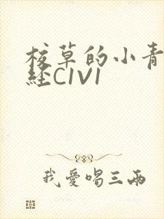 校草的小青梅不经C1V1