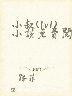小叔(1v1)小说免费阅读