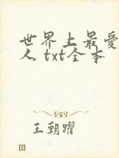 世界上最爱我的人 txt全本封面