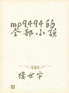 mp9494的全部小说