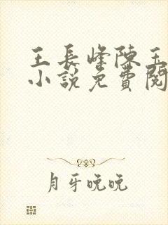 王长峰陈玉娆的小说免费阅读无弹窗
