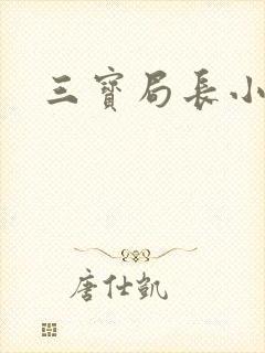 三宝局长小说
