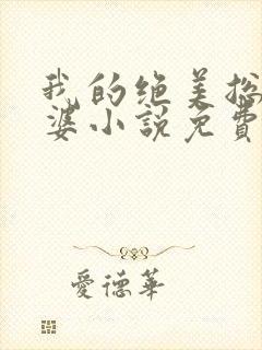 我的绝美总裁老婆小说免费阅读全文封面