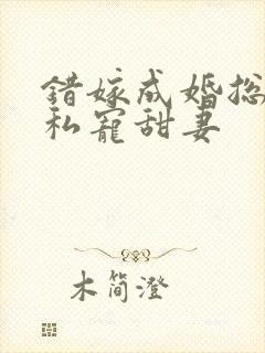 错嫁成婚总裁的私宠甜妻