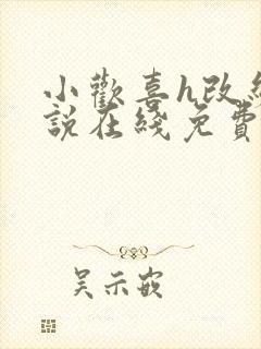 小欢喜h改编小说在线免费阅读小说
