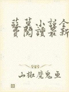 苏莫小说全文免费阅读最新章节封面