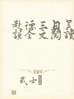 赴德三日吴敏小说全文阅读