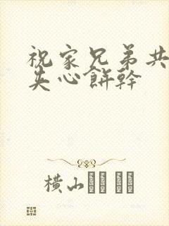 祝家兄弟共享后夹心饼干