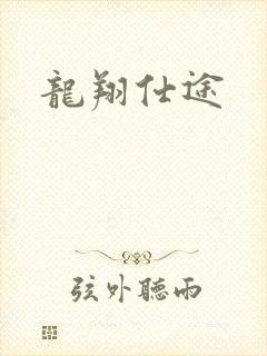 龙翔仕途