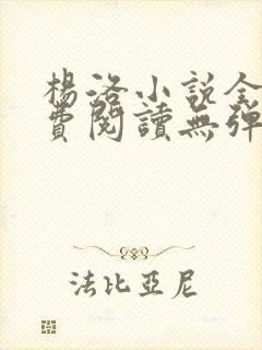 杨洛小说全文免费阅读无弹窗最新章节