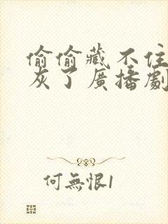 偷偷藏不住都积灰了广播剧