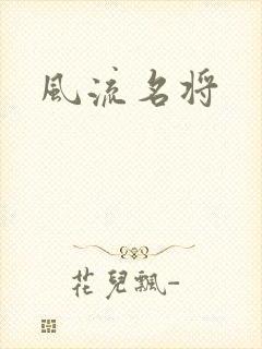 风流名将封面