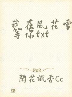 我在风花雪月中等你txt