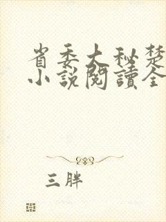 省委大秘楚东恒小说阅读全文封面