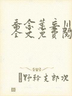 乔念叶妄川正版全文免费阅读封面