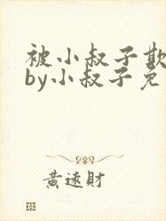 被小叔子欺负了by小叔子免费阅读全文封面