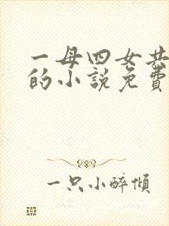 一母四女共一婿的小说免费阅读封面