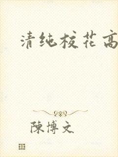 清纯校花高h文